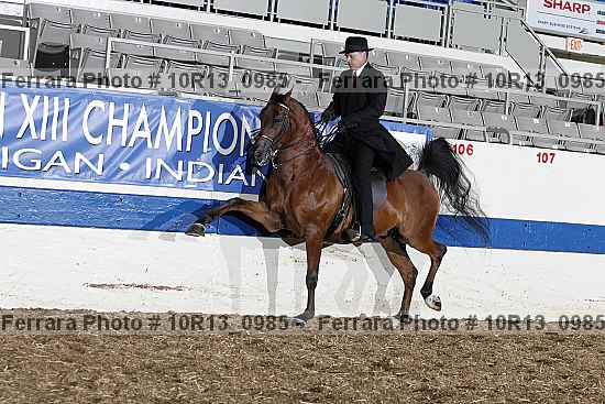 Proof 10r13_0985