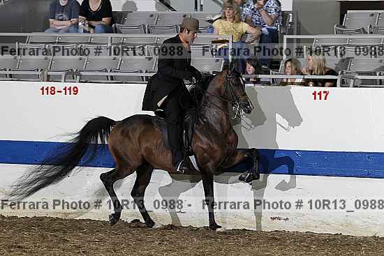 Proof 10r13_0988