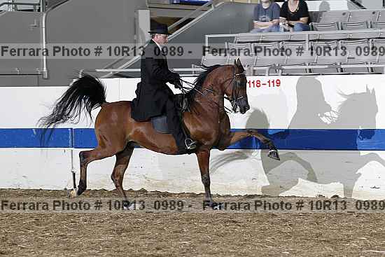 Proof 10r13_0989