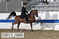 10r13_0989 proof
