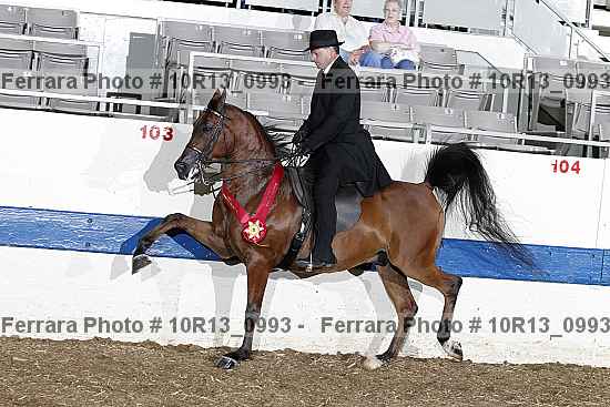 Proof 10r13_0993