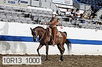 10r13_1000 proof