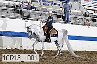 10r13_1001 proof