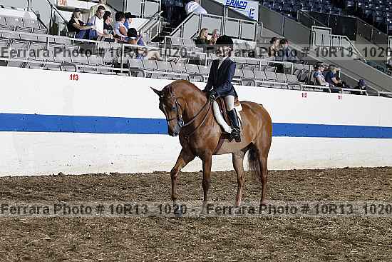 Proof 10r13_1020
