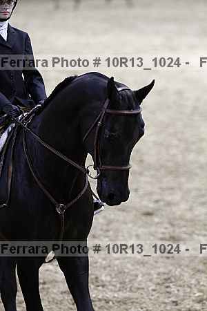 Proof 10r13_1024
