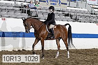 10r13_1028 proof