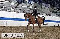 10r13_1039 proof