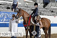 10r13_1076 proof
