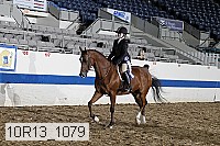 10r13_1079 proof