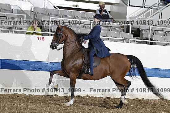 Proof 10r13_1099