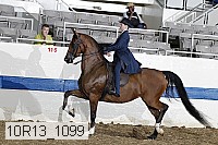 10r13_1099 proof