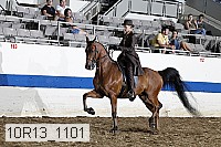 10r13_1101 proof