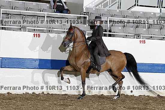 Proof 10r13_1103