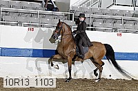 10r13_1103 proof