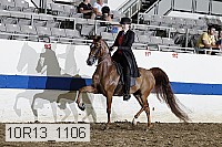 10r13_1106 proof