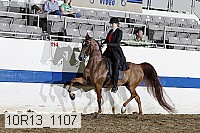10r13_1107 proof