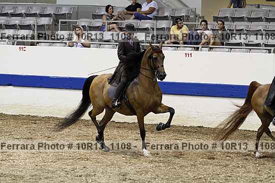 Proof 10r13_1108