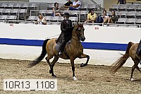 10r13_1108 proof