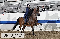 10r13_1109 proof