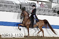 10r13_1132 proof