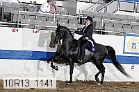 10r13_1141 proof