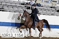 10r13_1154 proof