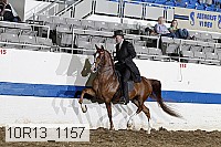 10r13_1157 proof
