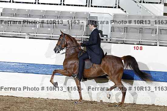 Proof 10r13_1163