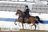 10r13_1163 proof