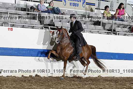 Proof 10r13_1168