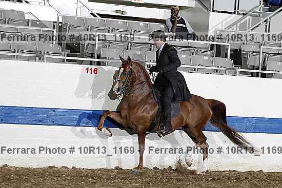 Proof 10r13_1169