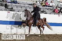 10r13_1171 proof