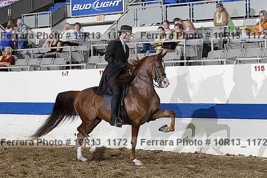 Proof 10r13_1172