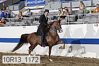 10r13_1172 proof