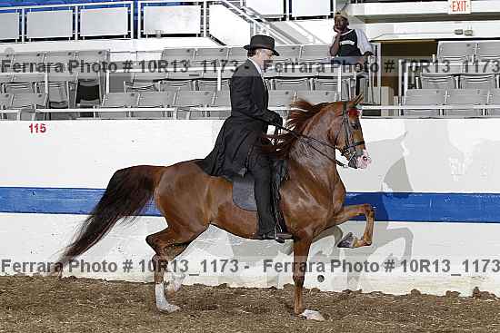Proof 10r13_1173