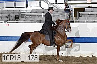 10r13_1173 proof