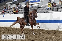 10r13_1174 proof