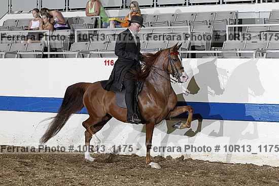 Proof 10r13_1175