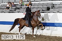 10r13_1175 proof