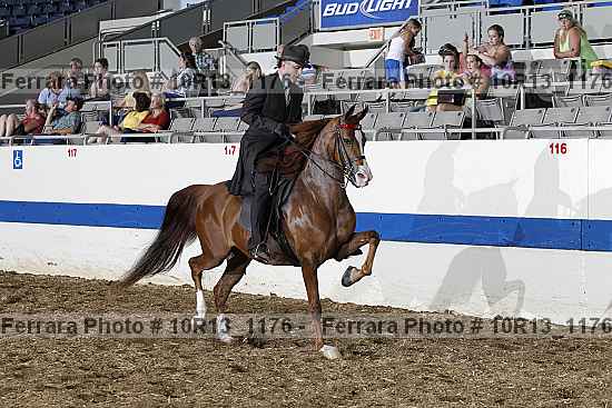Proof 10r13_1176