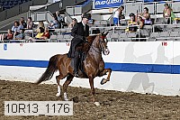 10r13_1176 proof