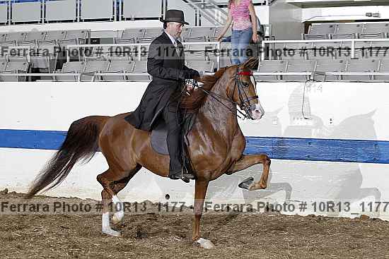 Proof 10r13_1177