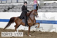 10r13_1177 proof