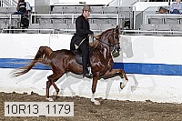 10r13_1179 proof