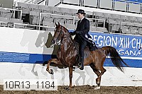 10r13_1184 proof