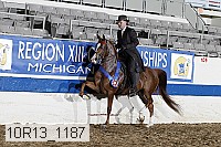 10r13_1187 proof