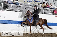 10r13_1191 proof