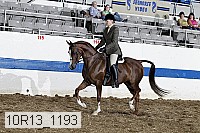 10r13_1193 proof