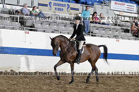 Proof 10r13_1195