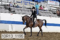 10r13_1195 proof